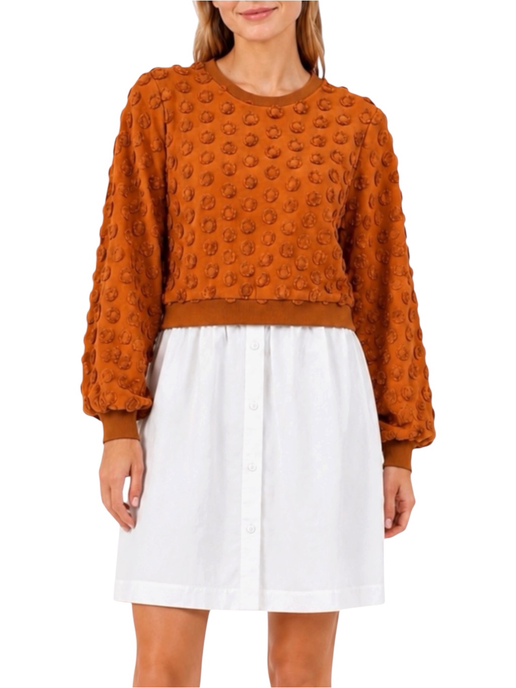 Pearl By Lela Rose Ginger Embroidered Jersey Combo Poplin Shirtdress Xs